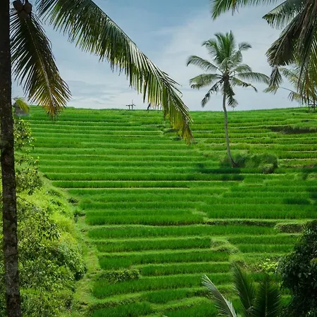 Be Bali Stay