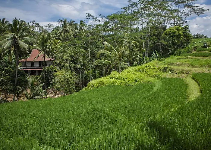 Be Bali *